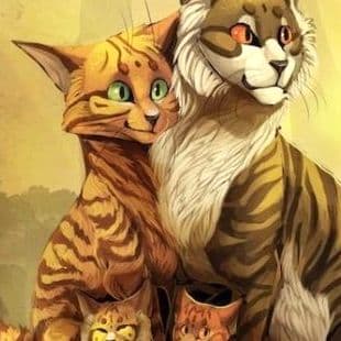 Warrior Cats Puzzle 1