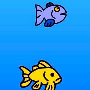 Fat Fish
