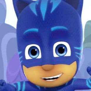 Pj Masks Catch The Ninjalinos