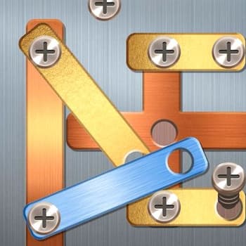 Screw Puzzle