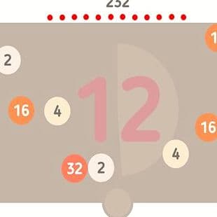 Pucks 2048