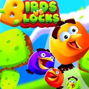 Birds Vs Blocks