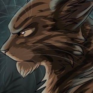 Warrior Cats Puzzle 3