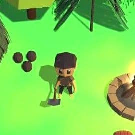 Mini Survival