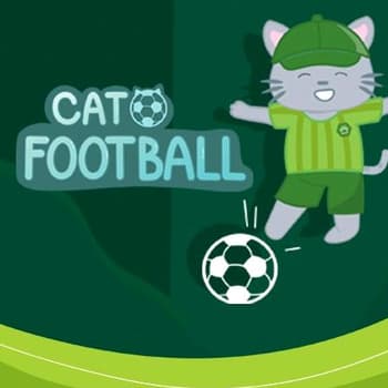 Cat Football
