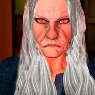 Granny Puzzle 2