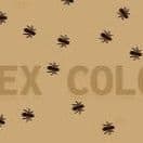 Apex Colony