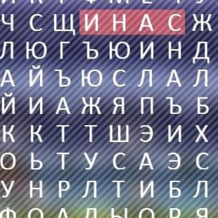 Word Hunt 3