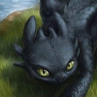 How To Train Your Dragon: Night Fury