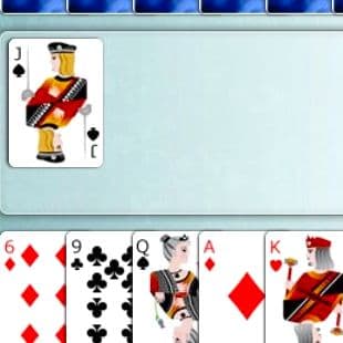 Multiplayer Fool