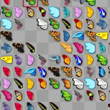 Butterfly Kyodai