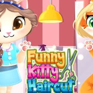 Funny Kitty Haircut