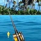 Sea Fishing